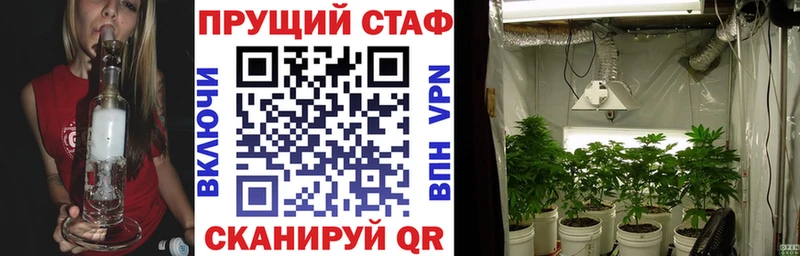 Где можно купить наркотики Пучеж COCAIN  Псилоцибиновые грибы  Конопля  OMG ССЫЛКА  СОЛЬ  Гашиш 