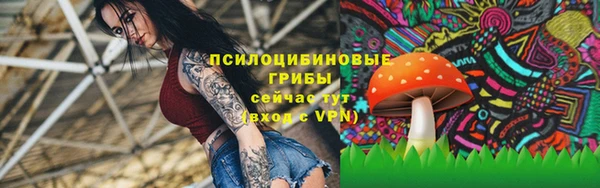Альфа ПВП Армянск