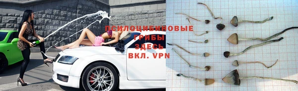 мдпв Арсеньев