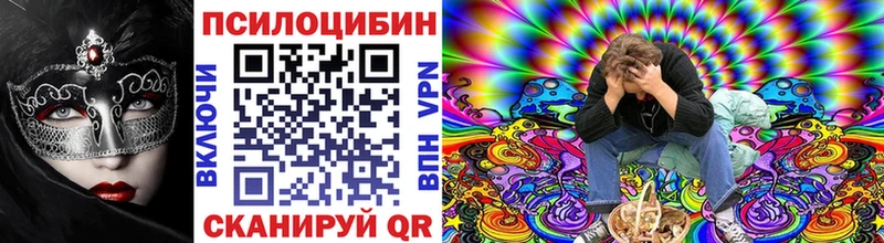 Псилоцибиновые грибы Psilocybe  дарнет шоп  Пучеж 